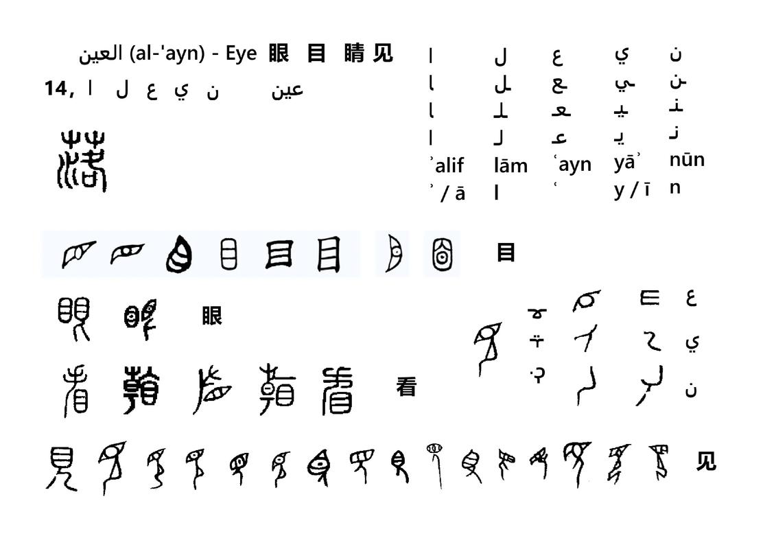 眼含什么