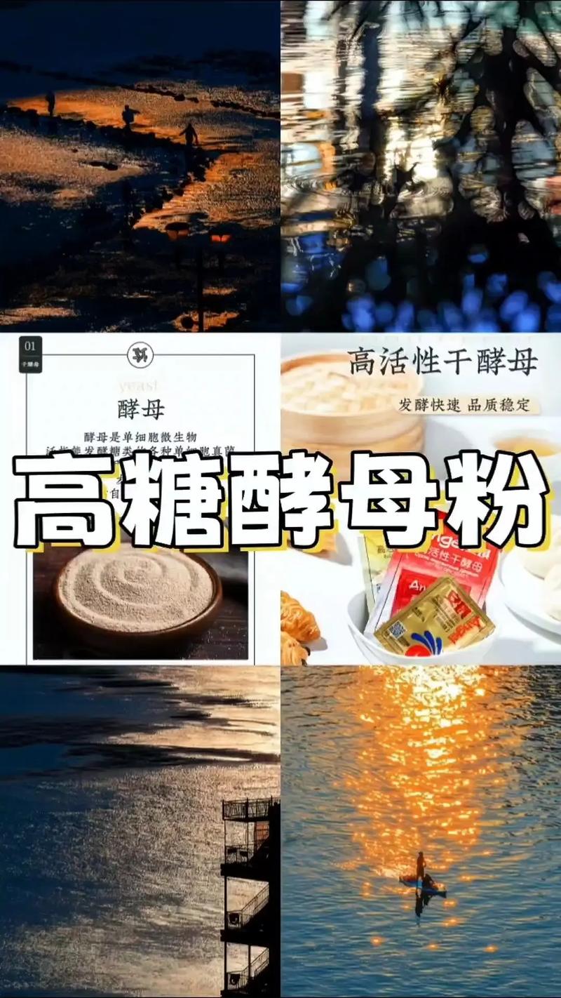 酵母粉减肥什么时候吃
