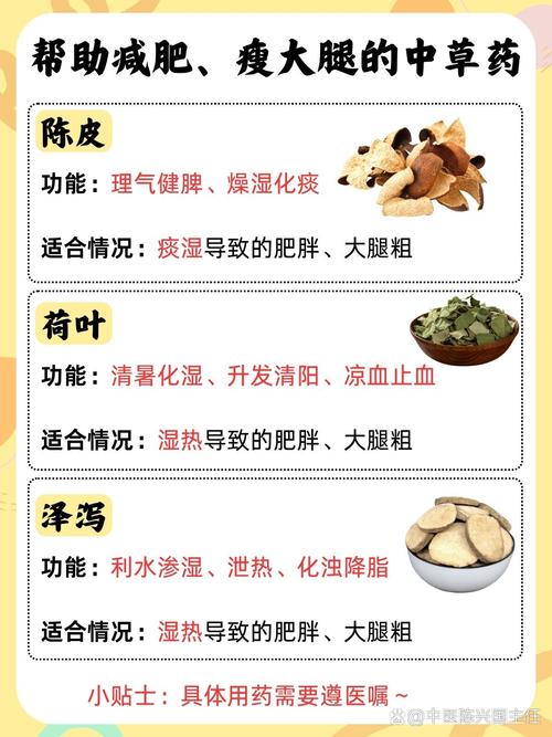 减肥中药要忌什么意思