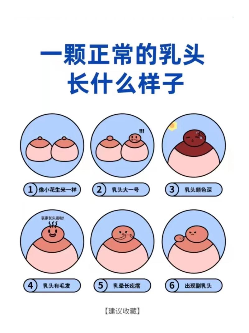 正常乳头长什么样