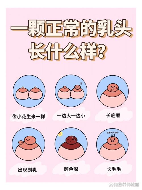 正常乳头长什么样