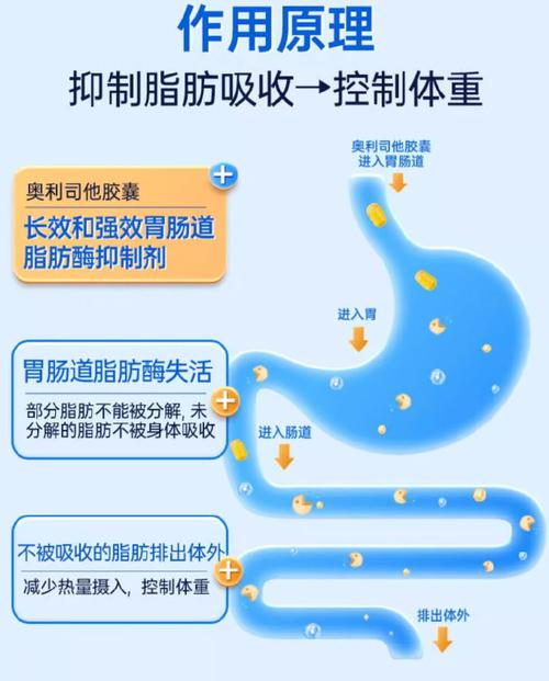 减肥药有些什么副作用