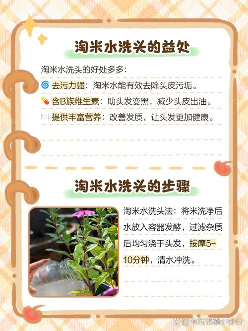 洗米水有什么作用