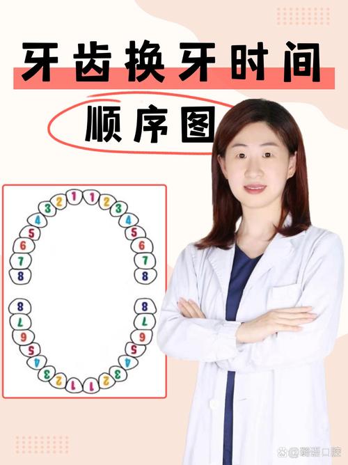 大牙什么时候换完