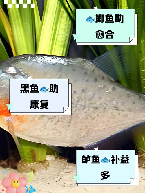手术后吃什么消肿快
