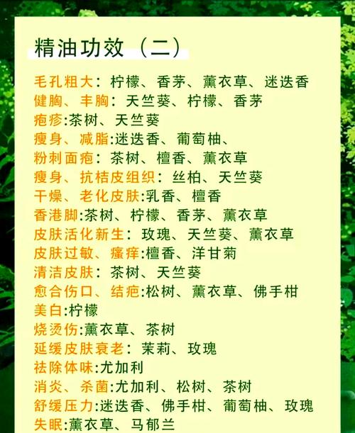 减肥精油起什么作用吗