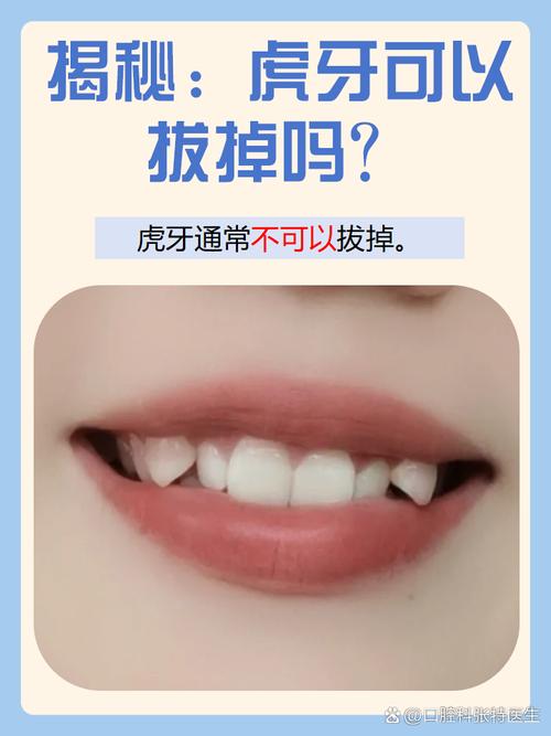 老虎的牙齿像什么