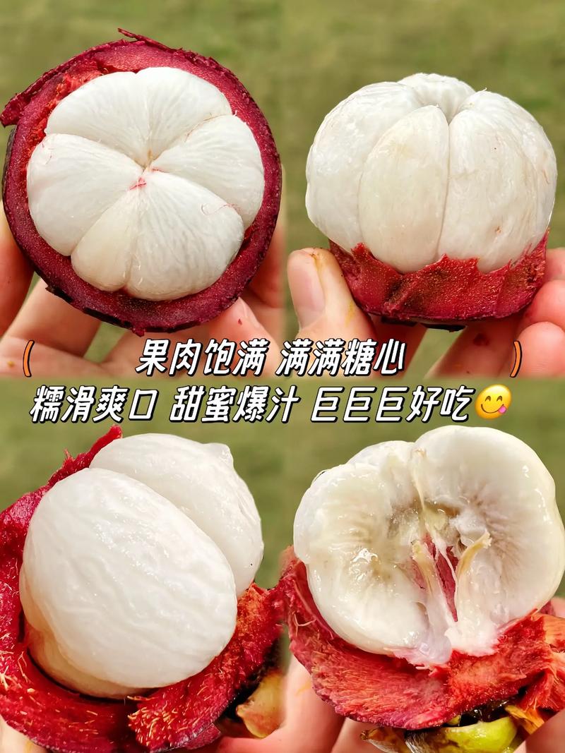泰国山竹洗面奶怎么样