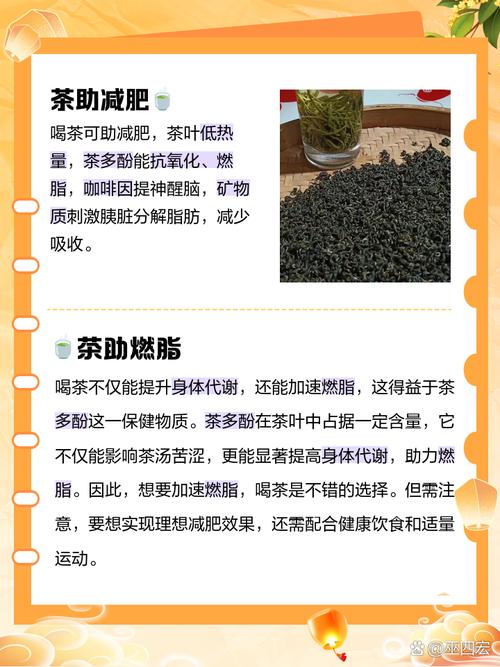 饭后喝茶为什么减肥