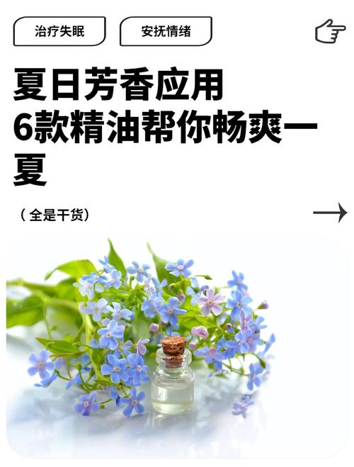 什么精油可以