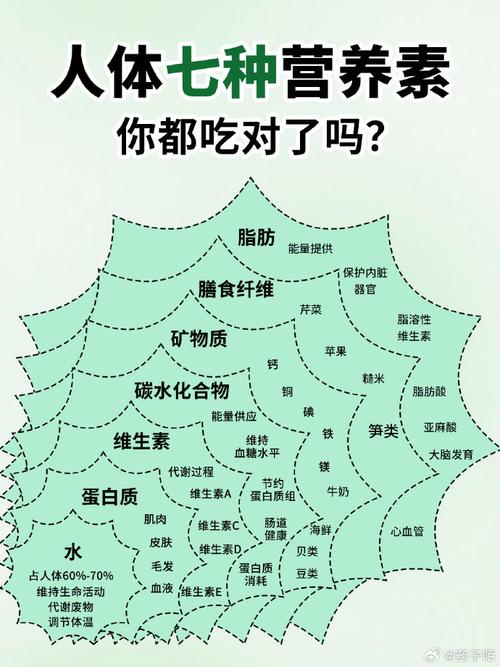 什么东西难吃又减肥