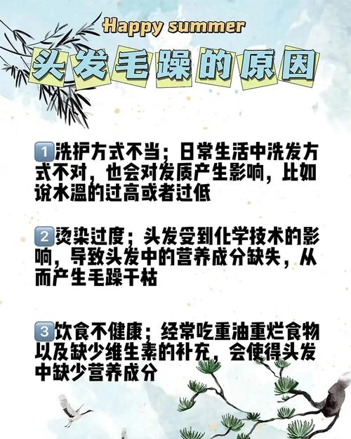 头发粗糙是什么原因