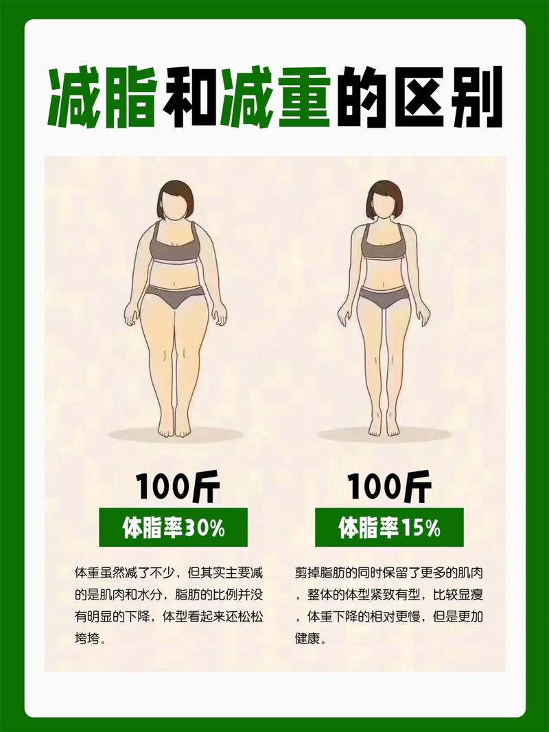 燃脂减肥原理是什么意思