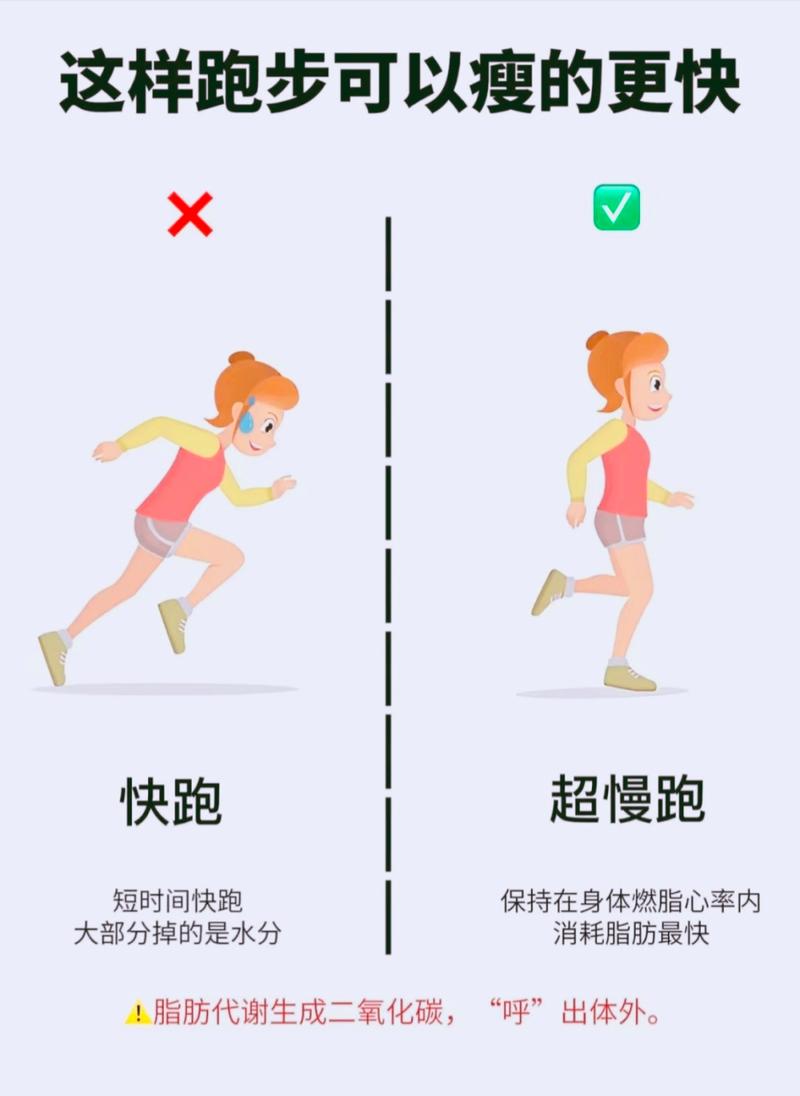 每天早上都要做什么运动减肥