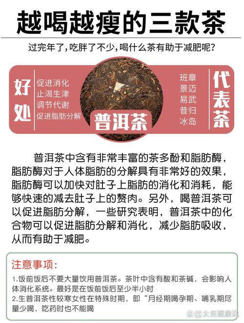 绿茶什么茶叶能减肥