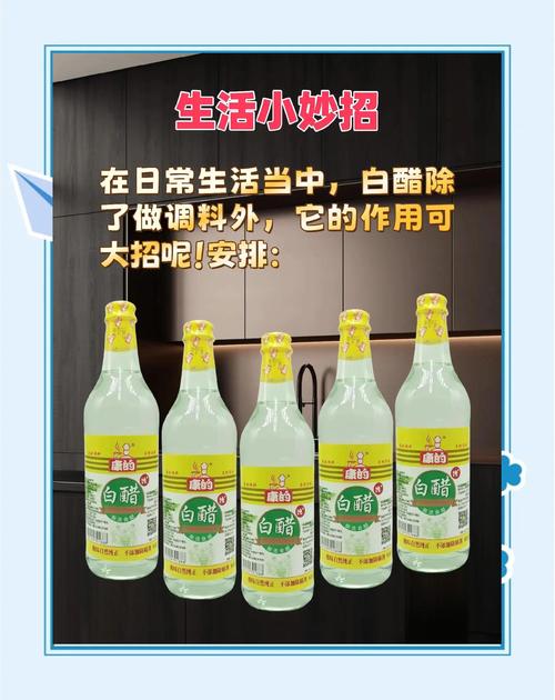 减肥为什么要用白醋