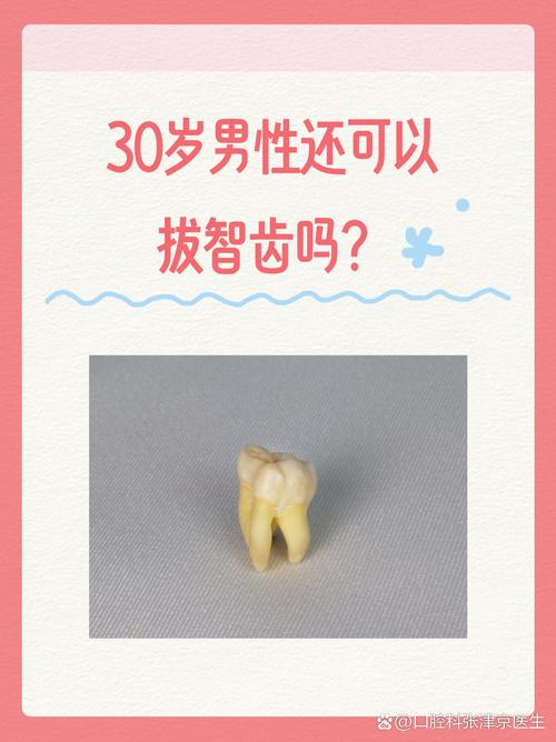 智齿属于什么科