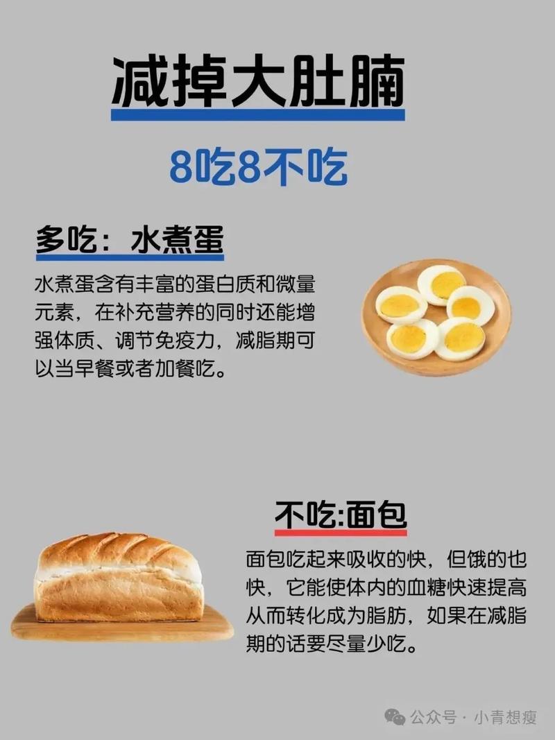 肚子大吃什么减肥最有效