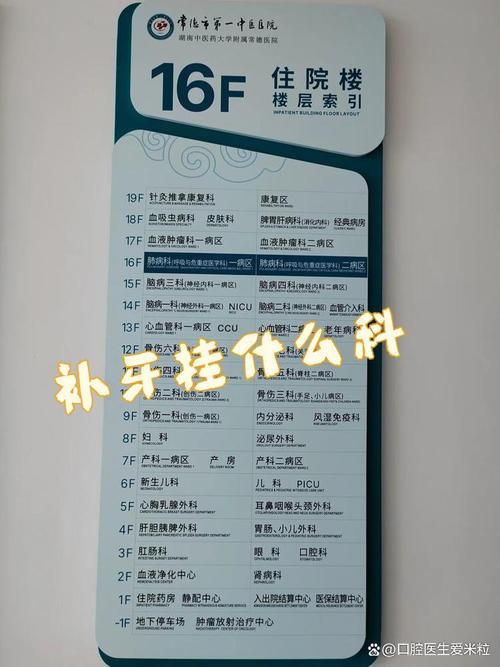 补牙属于什么科