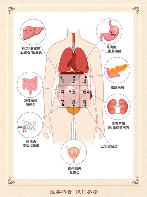 左下腹隐痛是什么原因