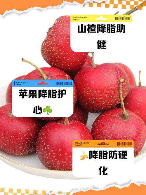 高血脂吃什么水果好