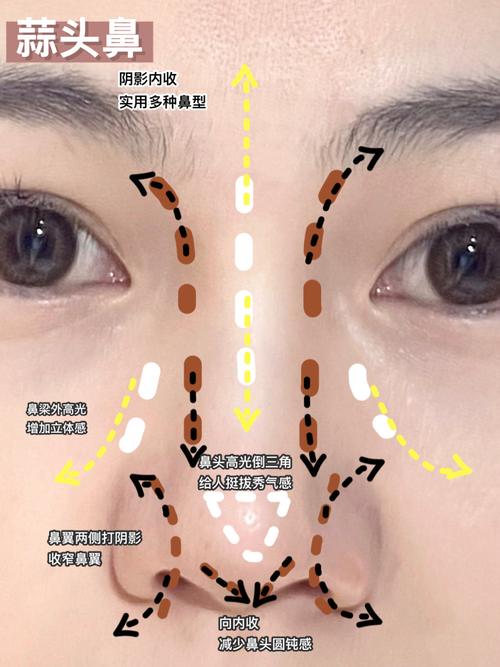 鼻翼在什么位置