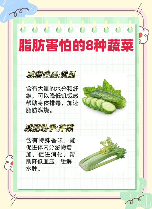 最减肥的蔬菜是什么意思