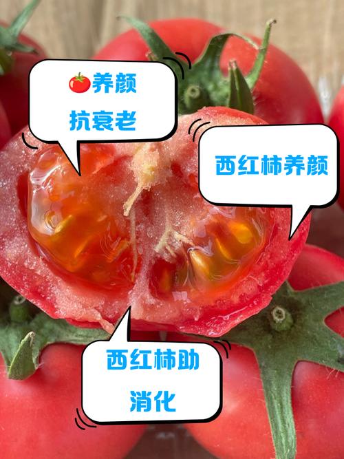 为什么吃西红柿减肥