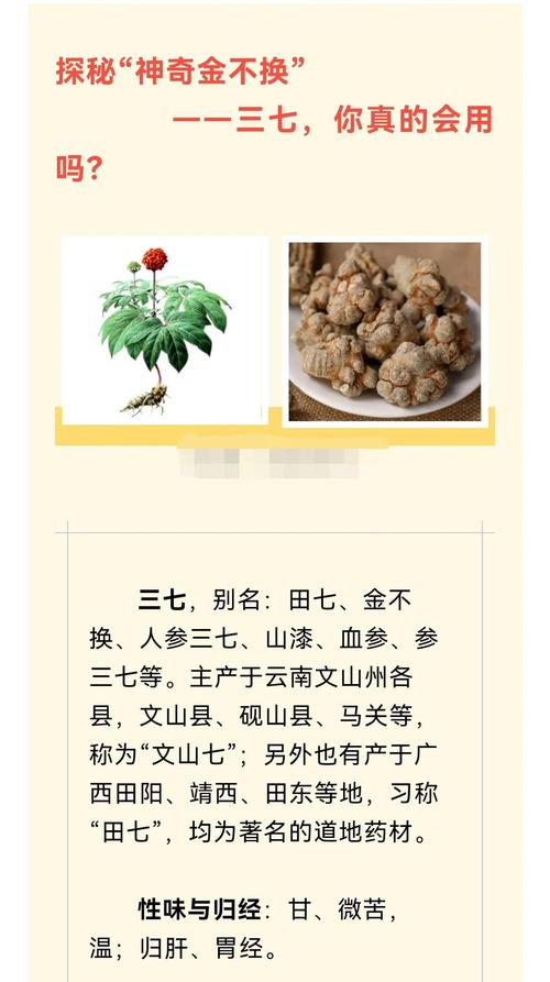 吃三七有什么副作用