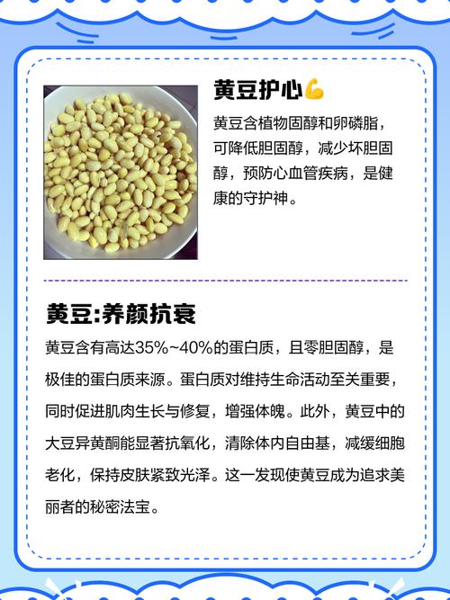 黄豆为什么能减肥