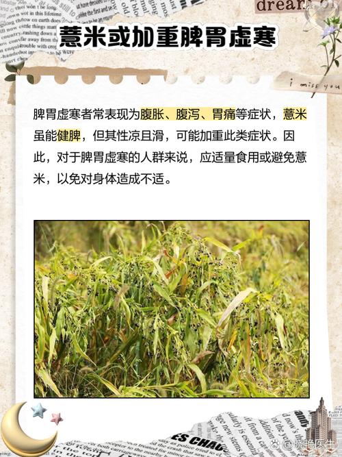 薏米和什么一起吃减肥吗