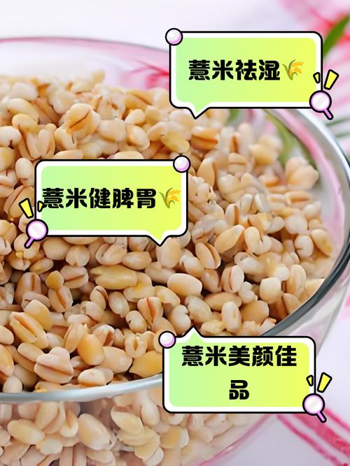 薏米和什么一起吃减肥吗
