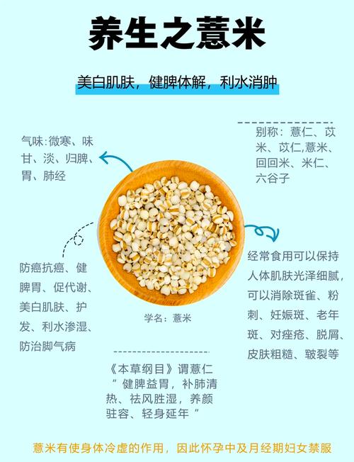 薏米和什么一起吃减肥吗