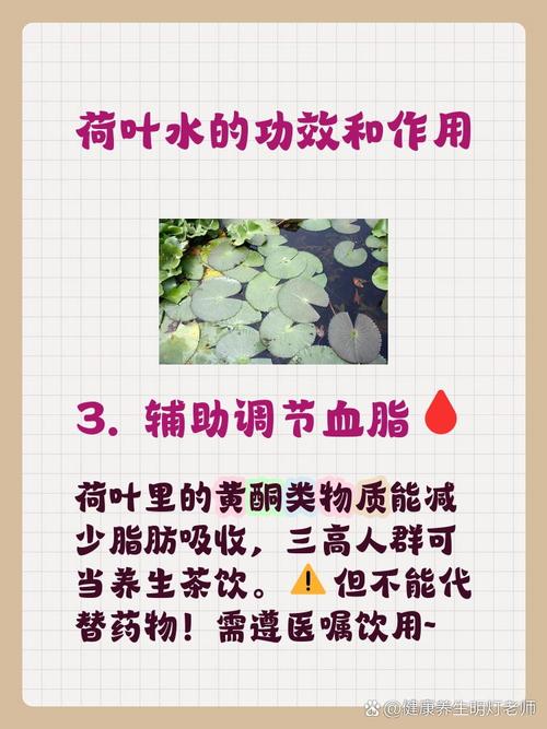 体寒人喝什么减肥