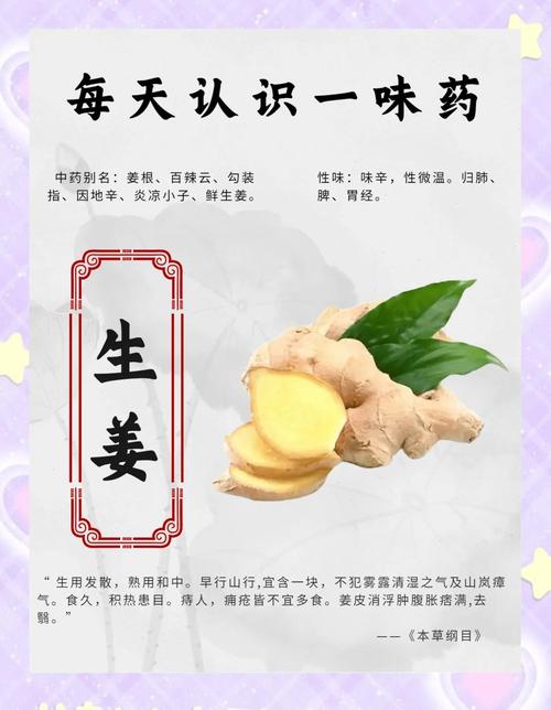 生姜为什么能减肥