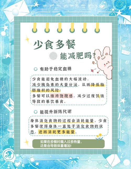 少食多餐为什么能减肥