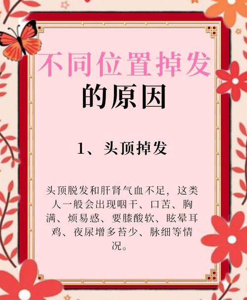 会掉头发是什么原因