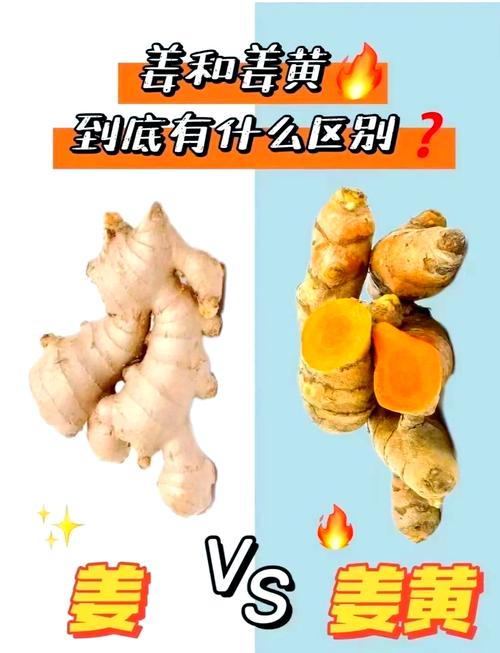 姜和什么一起能减肥吗