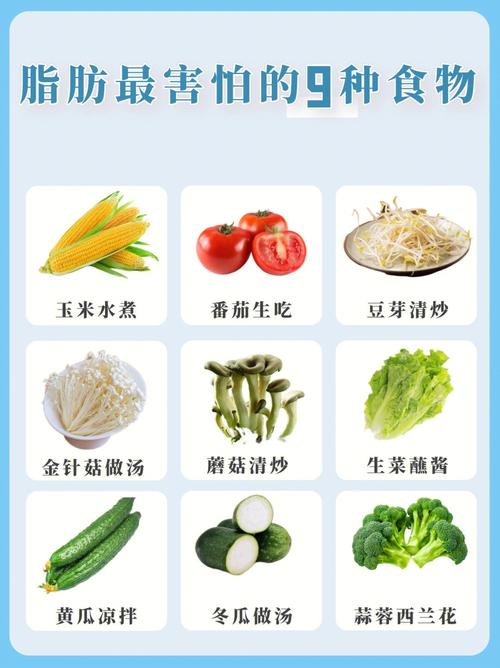 减肥最适合吃什么蔬菜