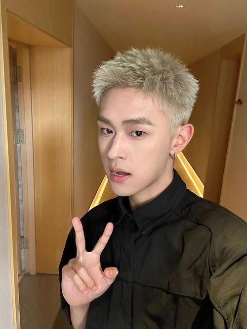 头发染什么颜色好看男生