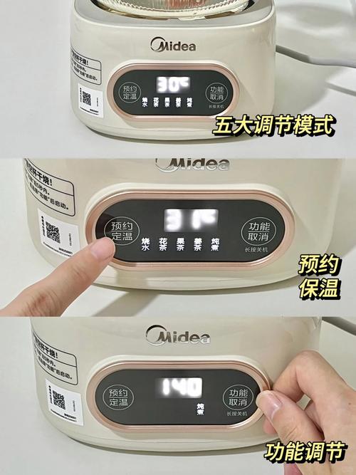 养生壶喝什么能减肥