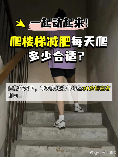 下肢胖减肥什么运动好
