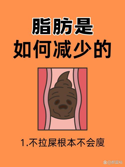 什么是抓脂减肥
