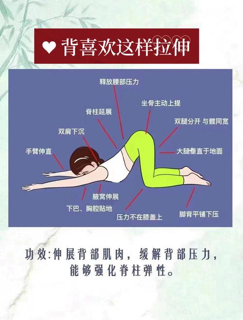 什么动作最瘦肚子