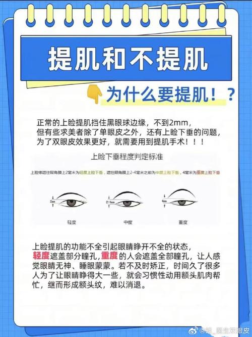 提肌无力是什么