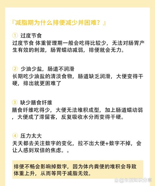 每天排便为什么不减肥