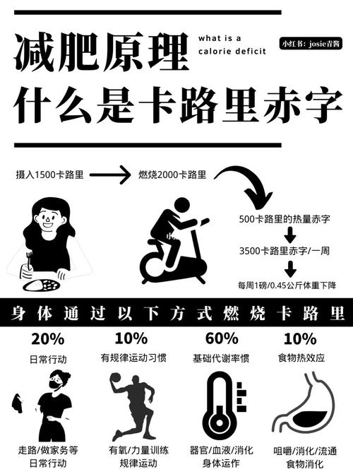 物理减肥是什么