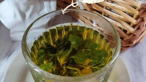 什么野生草药能减肥