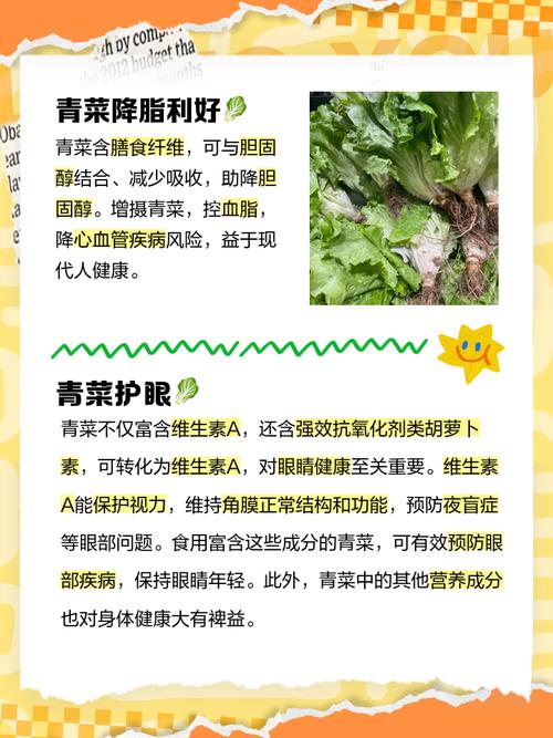 什么青菜有减肥的功效