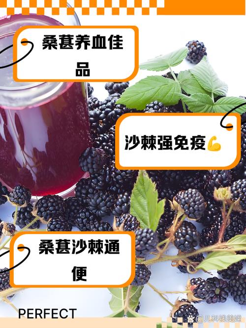 桑葚能治成什么保健品能减肥